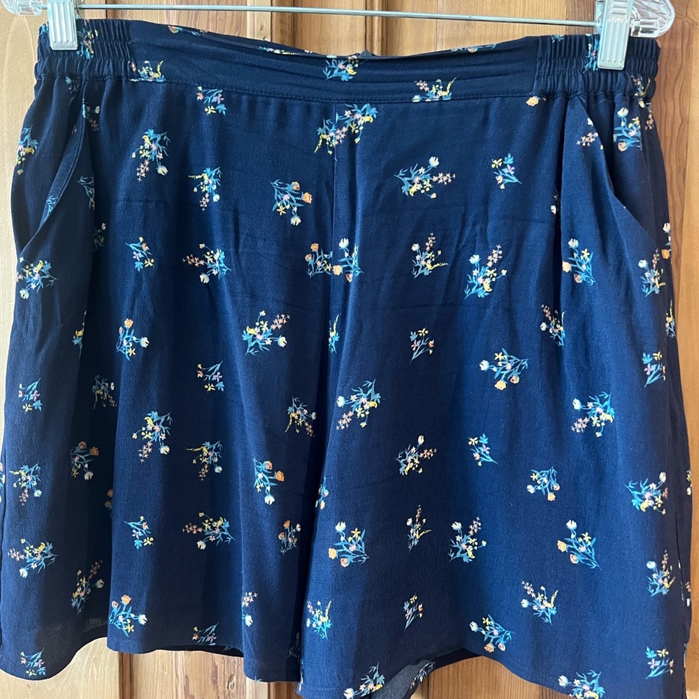 Anthropologie’s Dolan Floral Blue  Women's Shorts Size: Medium